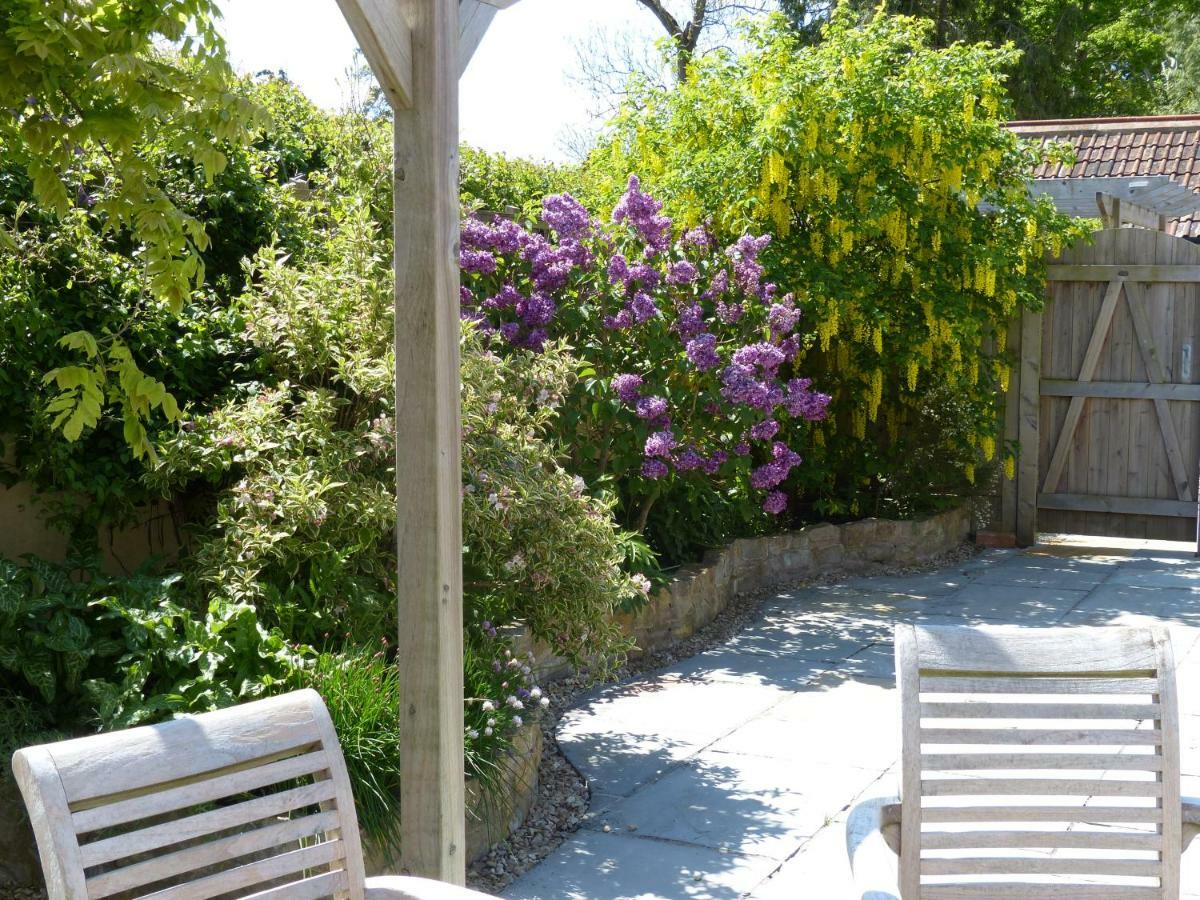 Pear Tree Cottages Wedmore Eksteriør bilde
